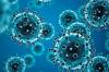 Virus Langya, Epidemiologi Sebut Tak Menular Antar Manusia