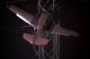 Pesawat Ini Tersangkut Kabel Listrik Tegangan Tinggi di Amerika