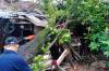Hujan Angin, Pohon Tumbang Timpa Rumah dan Mobil Warga di Bogor