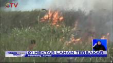 Kebakaran Hutan Lahan Gambut di Ogan Ilir Meluas Hingga 91 Hektar