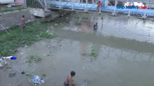 Warga Berebut Ratusan Ikan Mabuk di Sungai Wonokromo Surabaya