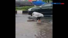 Diduga Terbawa Arus Hujan, Ular Sanca Singgah di Tengah Jalan