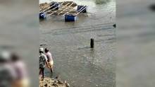Warga Dikejutkan Ribuan Ikan Muncul di Muara Kali Baubau