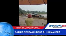 Banjir Terjang 5 Desa di Halmahera, Maluku Utara