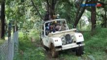 Wisata Off Road dengan Jeep, Sensasi Liburan Luar Biasa