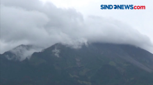 Gunung Merapi Kembali Luncurkan Lava Pijar Sejauh 500 Meter