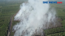 Enam Hektar Lahan Gambut Terbakar di Nagan Raya, Aceh