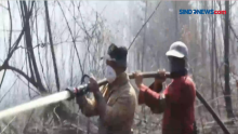 Ratusan Hektare Lahan Gambut di Bengkalis Terbakar