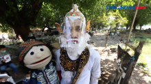 Heboh, Kera Putih Hanoman Muncul di Pemakaman Rangkah Surabaya
