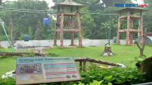 Pengelola Taman Margasatwa Ragunan Batasi Jam Operasional dan Jumlah Pengunjung
