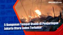 5 Bangunan Tempat Usaha di Penjaringan Jakarta Utara Ludes Terbakar
