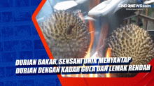 Durian Bakar, Sensani Unik Menyantap Durian dengan Kadar Gula dan Lemak Rendah