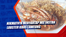 Nikmatnya Menyantap Mie Instan Lobster Khas Laweung
