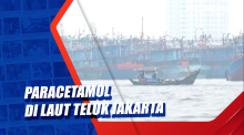 Paracetamol di Laut Teluk Jakarta