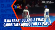 Jawa Barat Dulang 3 Emas Cabor Taekwondo PON XX Papua