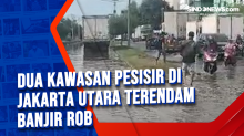 Dua Kawasan Pesisir di Jakarta Utara Terendam Banjir Rob