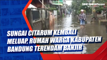 Sungai Citarum Kembali Meluap, Rumah Warga di Kabupaten Bandung Terendam Banjir