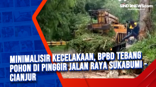Minimalisir Kecelakaan, BPBD Tebang Pohon di Pinggir Jalan Raya Sukabumi - Cianjur