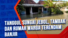 Tanggul Sungai Jebol, Tambak dan Rumah Warga Terendam Banjir
