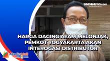 Harga Daging Ayam Melonjak, Pemkot Yogyakarta akan Interogasi Distributor