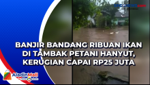Banjir Bandang Ribuan Ikan di Tambak Petani Hanyut, Kerugian Capai Rp25 Juta