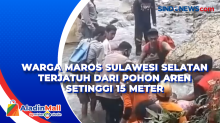 Warga Maros Sulawesi Selatan Terjatuh dari Pohon Aren Setinggi 15 Meter