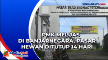PMK Meluas di Banjarnegara, Pasar Hewan Ditutup 14 Hari