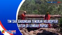 Tim Sar Gabungan Temukan Helikopter Jatuh di Lembah Papua
