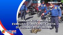 Damkar Kota Medan Evakuasi Ular Sanca Batik di Gudang Pertokoan