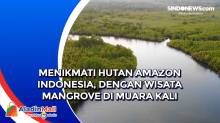 Menikmati Hutan Amazon Indonesia, dengan Wisata Mangrove di Muara Kali Lakologou