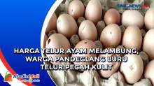 Harga Telur Ayam Melambung, Warga Pandeglang Buru Telur Pecah Kulit