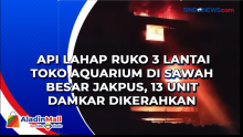 Api Lahap Ruko 3 Lantai Toko Aquarium di Sawah Besar Jakpus, 13 Unit Damkar Dikerahkan