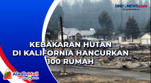 Kebakaran Hutan di Kalifornia Hancurkan 100 Rumah