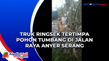 Truk Ringsek Tertimpa Pohon Tumbang di Jalan Raya Anyer Serang