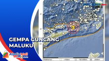 Maluku Barat Daya Diguncang Gempa Magnitudo 4,3