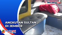 Lin Kuning di Jember Disulap Jadi Angkutan Umum Sultan
