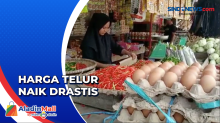 Harga Telur Ayam Tembus Rp57.000 di  Nunukan