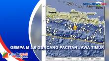 Gempa M 5,6 Guncang Pacitan Jawa Timur, Guncangan Terasa hingga Yogya