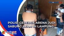 Polisi Gerebek Arena Judi Sabung Ayam Berkedok Kontes di Lampung