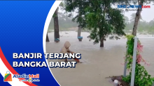 Banjir Melanda Kabupaten Bangka Barat, Aktivitas Warga Terganggu