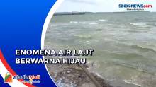 Heboh Fenomena Air Laut Berwarna Hijau dan Berbau di Kepulauan Selayar