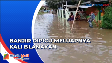 Ratusan Rumah Terendam Banjir hingga 1 Meter di Subang, Aktivitas Warga Lumpuh