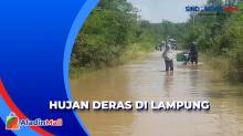 Hujan Deras, Banjir Rendam Jalan Penghubung Dua Kabupaten di Lampung