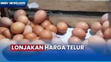 Harga Telur Ayam Melonjak di Sidoarjo, Omzet Pedagang Menurun