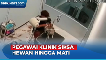 Pegawai Klinik Hewan di Batam Aniaya Anjing hingga Tewas