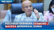 Politikus Gerindra Sekaligus Wakil Ketua Komisi III DPR Desmond J Mahesa Meninggal Dunia