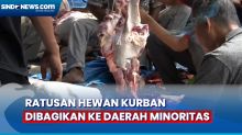 Daging Hewan Kurban di Sumut akan Dibagikan ke Daerah Minoritas Umat Muslim