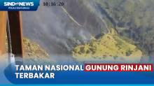 Puluhan Hektare Hutan di Taman Nasional Gunung Rinjani Terbakar, Ini Asal Titik Api