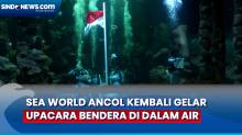 Sea World Ancol Kembali Gelar Upacara Bendera di Dalam Air