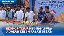 Menteri Pertanian Sebut Ekspor Telur ke Singapura adalah Kesempatan Besar